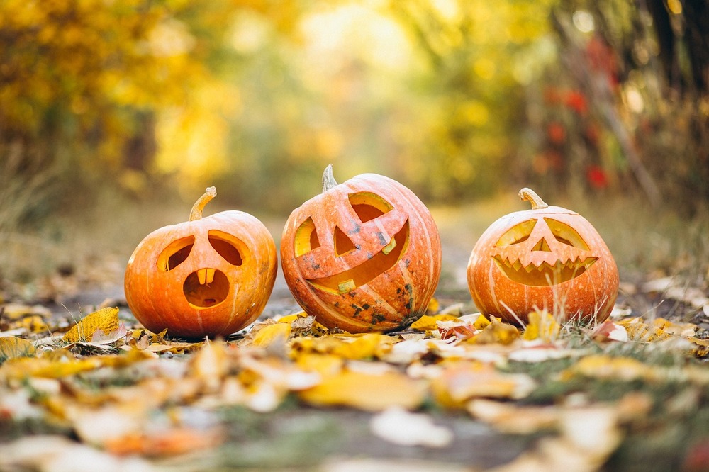 A trio of 3 carved pumpkins, ready for a fun night of Halloween fun.