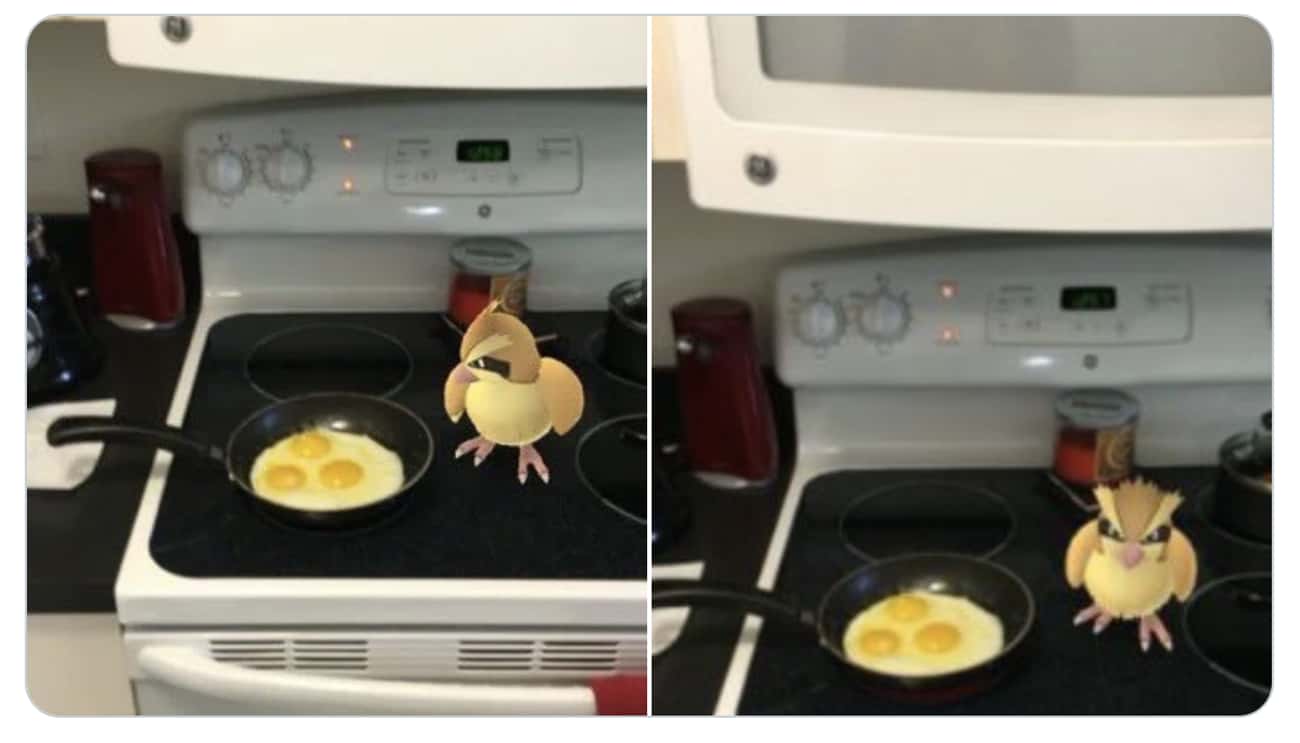 an image of pidgey, a bird pokemon standing on someone's stove while they fry eggs in a pan. pidgey is looking at the pan. In the next image, pidgey is looking angrily at the person cooking the eggs