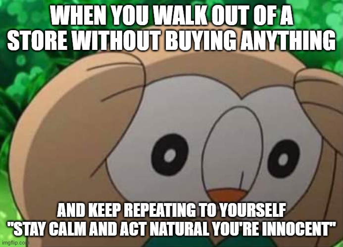 Text from the image: when you walk out of a store without buying anything and keep repeating to yourself 'keep calm and act natural, you're innocent' along with an image of an owl-like creature with its wings on its head, showing stress