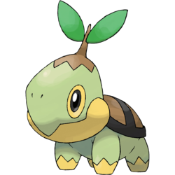 Turtwig, a grass-type Pokemon that looks like a turtle with a twig and leaf on its head