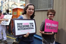 Two people walking in a queer liberation march, carying printed signs that say 'how dare you presume I'm heterosexual' and 'non-binary is beautiful'
