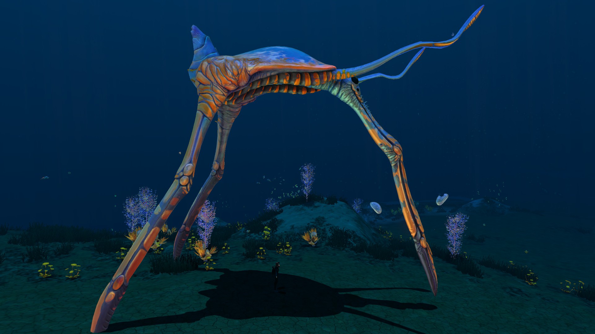 The sea treader. A bright orange and blue creature with three legs walking across the sea floor. Two blue antennae point in the direction the creature is going.