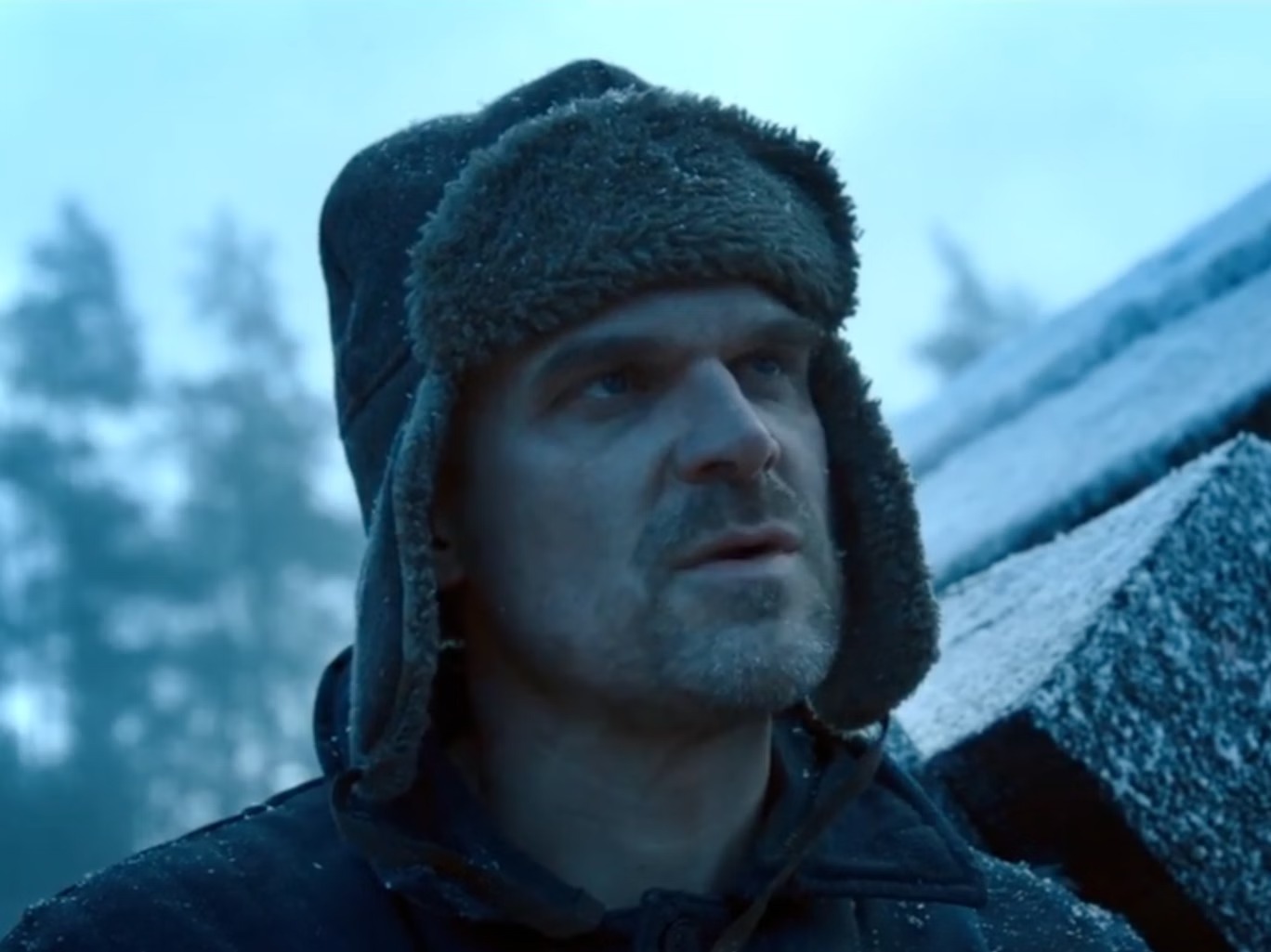 A man in a winter hat and coat in a snowy climate.