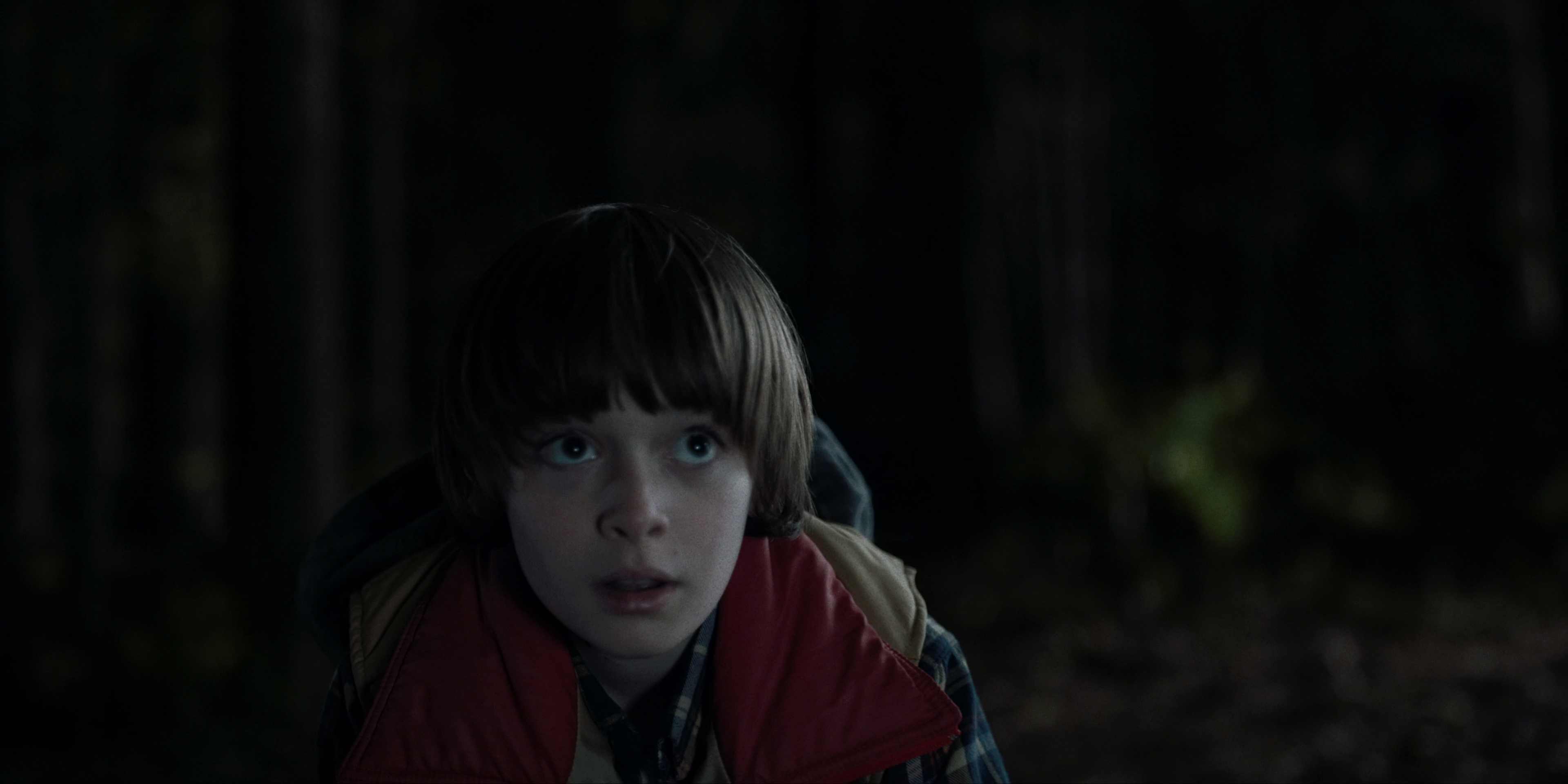A young boy in a dark woods looks up at something in fear.