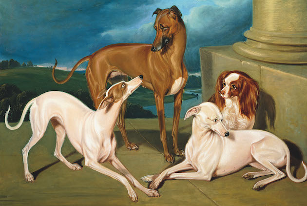 A painting of three greyhounds and a king charles spaniel. Hi Pepper if you see this I apologize but I'm only going to do alt text on the photos in the main pages but not in the memes or gallery pages. Just not enough time!