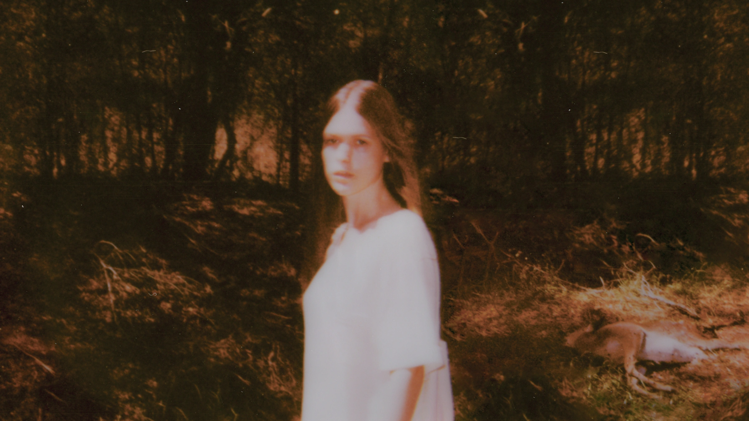 a promotional picture of Ethel Cain for Preacher's Daughter, grass, trees, and a roadkill of a deer behind her