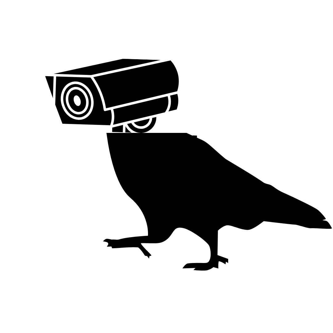 a pigeon with a surveillance camera for a head