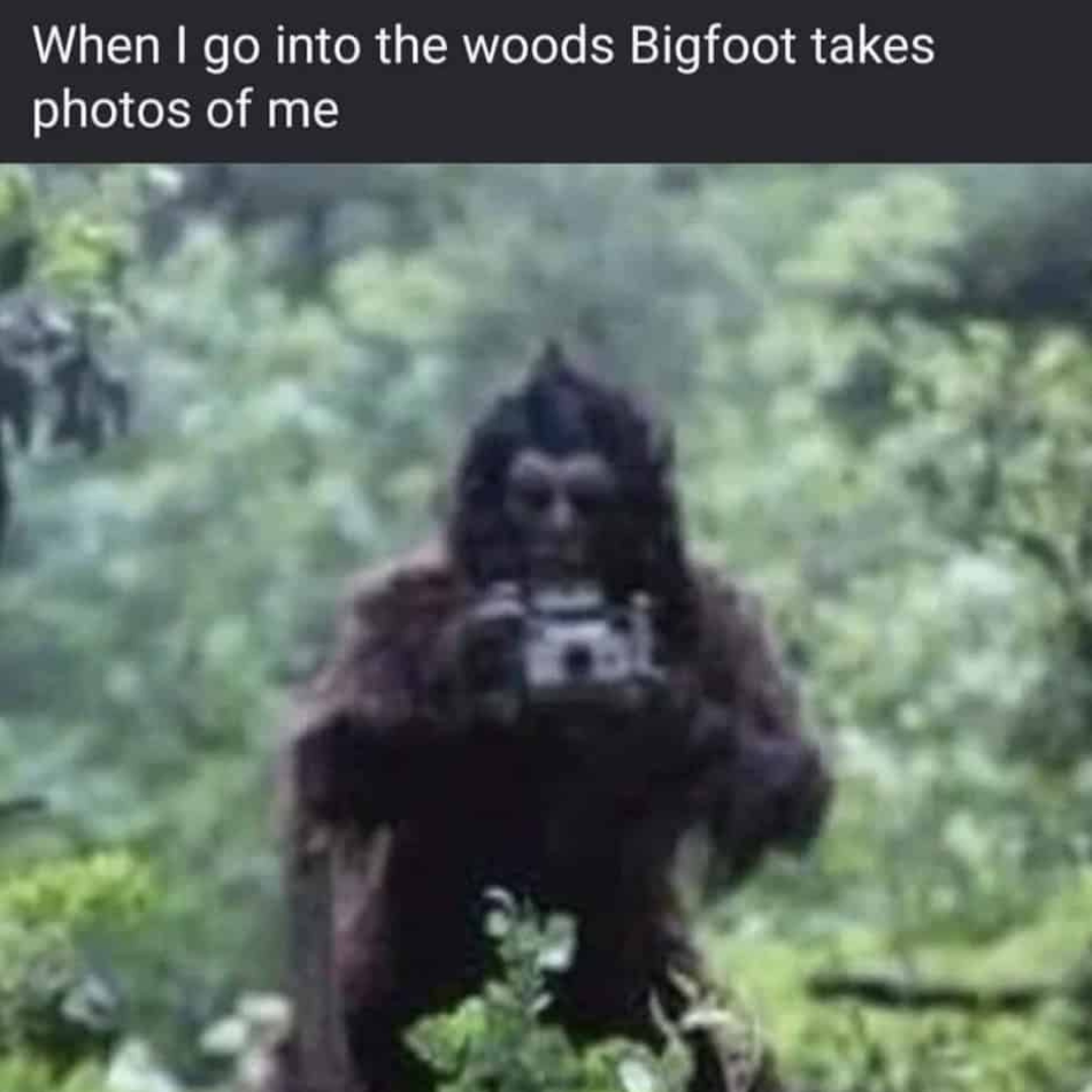 a caption above a photo reading: 'When I go into the woods, Bigfoot takes pictures of me.' followed by a picture of Bigfoot holding a camera in the woods.