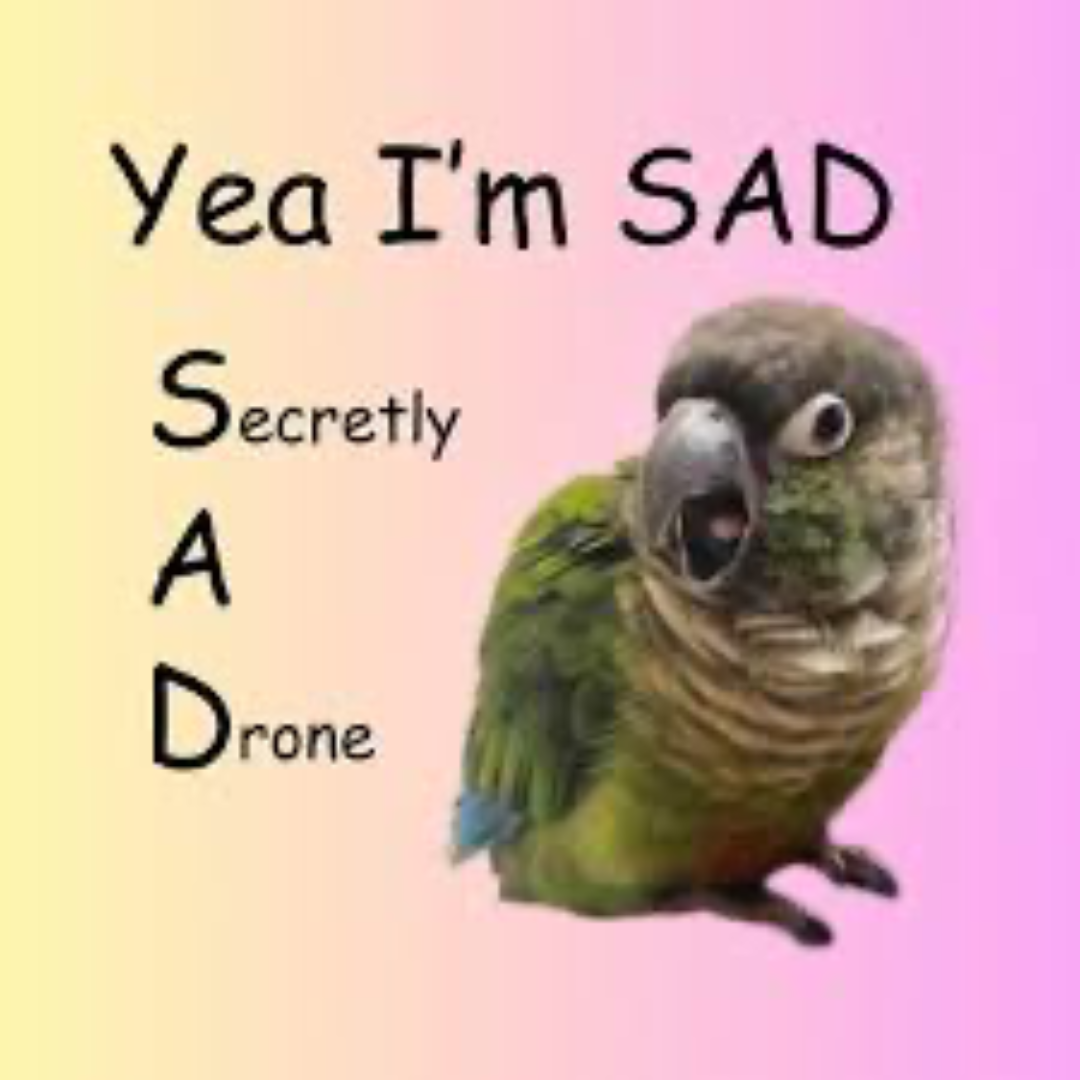 an image of a parakeet bird on a bright pink and yellow background captioned 'Yeah, I'm sad. S.A.D. Secretly A Drone''