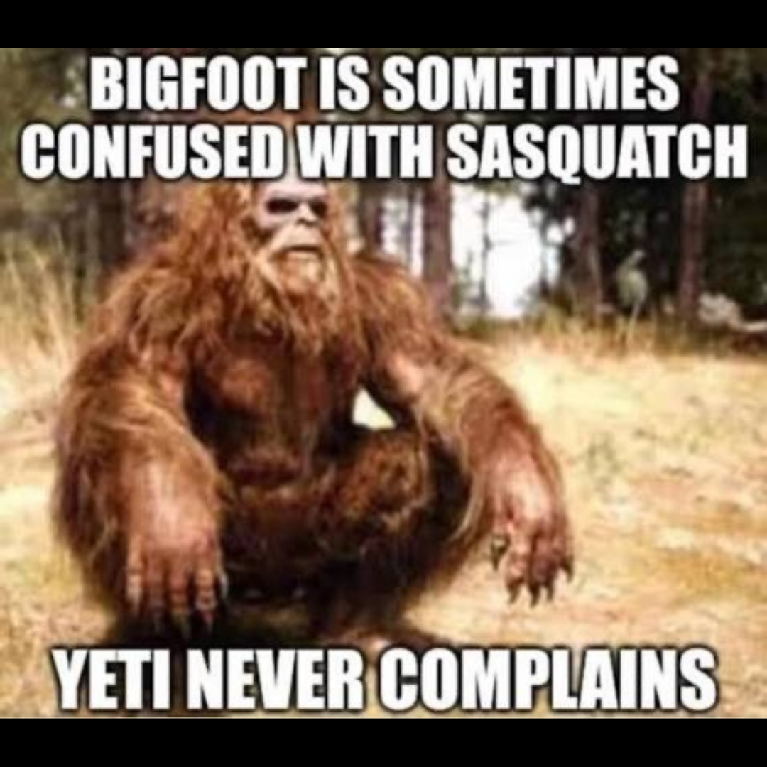 a picture of bigfoot sitting in a meditative pose with the caption: 'Bigfoot is often confused with sasquatch, yeti never complains'