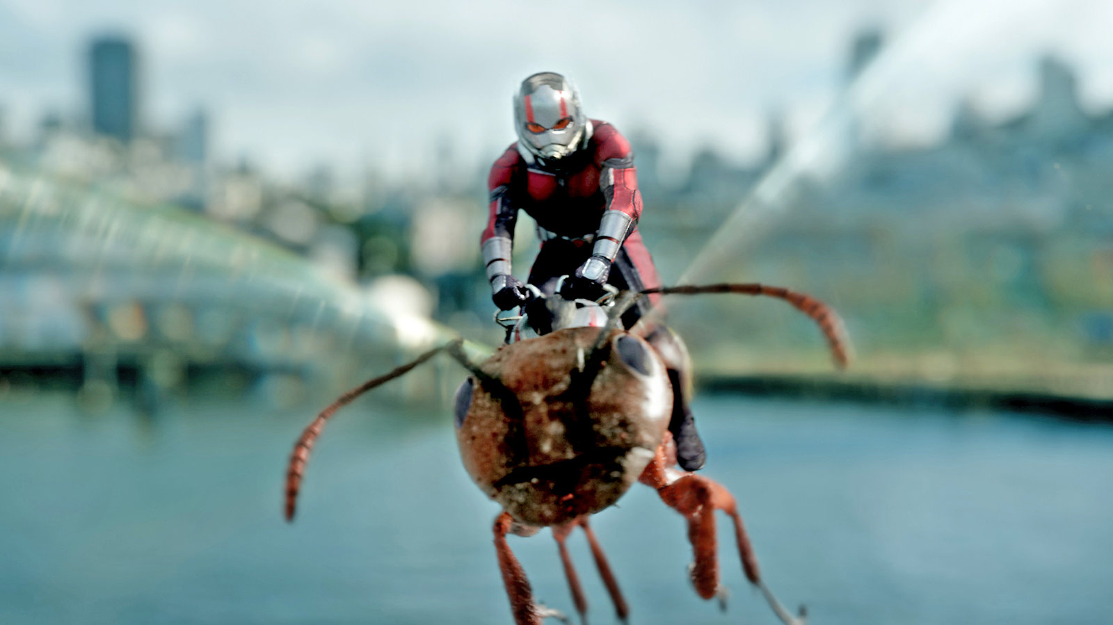 Ant-Man riding a flying ant above a body of water with a city in the background.