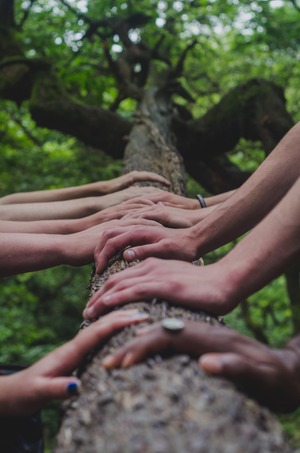 multiple people place their hands on top of a log in an act of solidarity