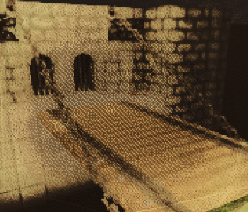 An in-game compendium image of the beginning level