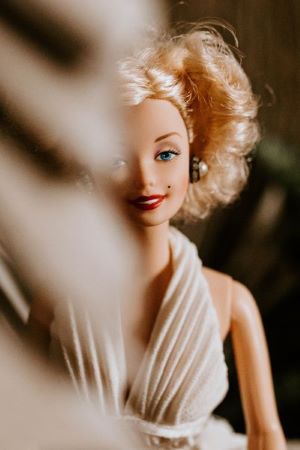 an image of a barbie doll facing forward, half of her slightly obscurred by a blurred object in front of the camera