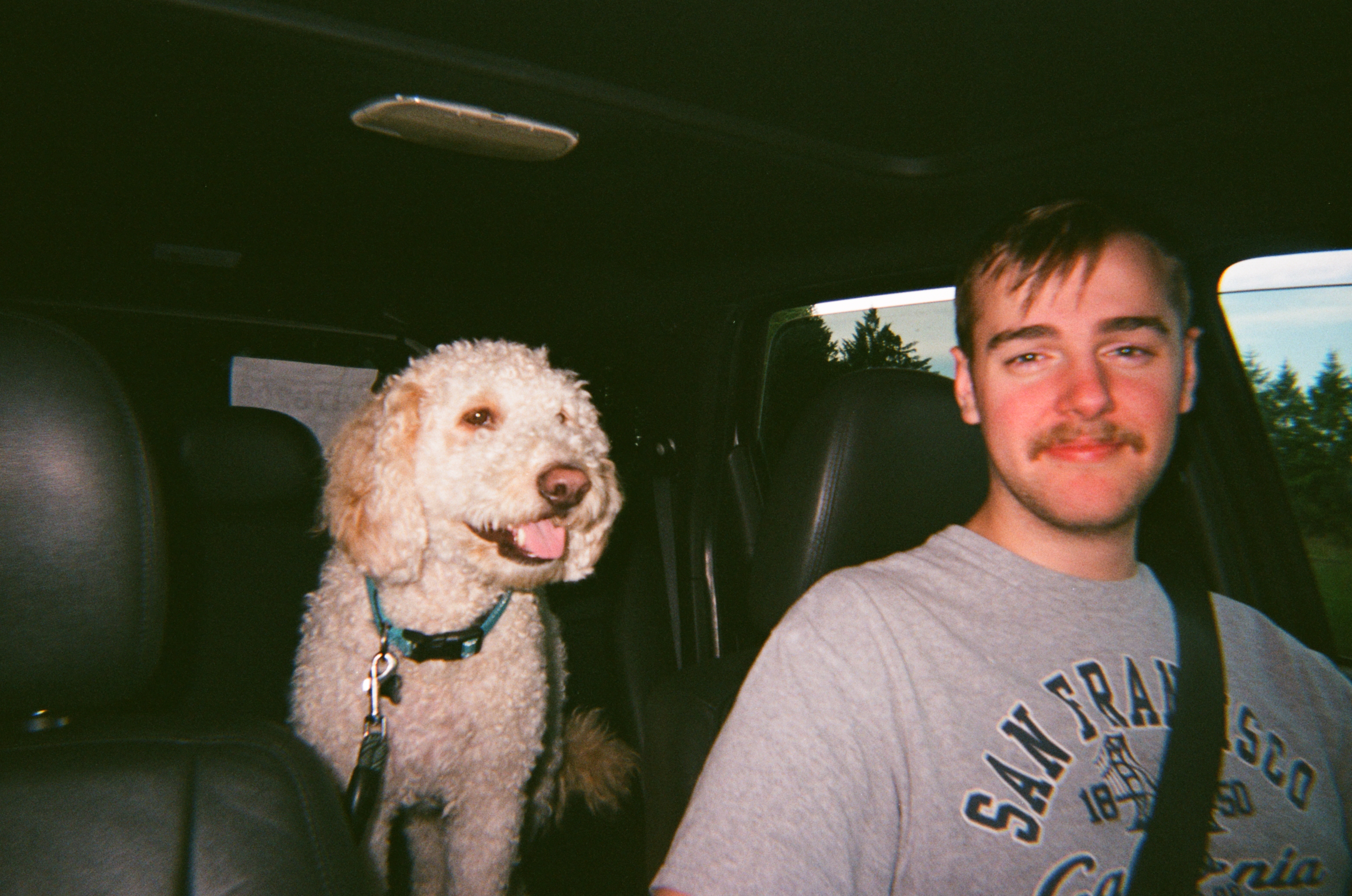 Watercolor palettes, paintbrushes, and paintings of butterflies.