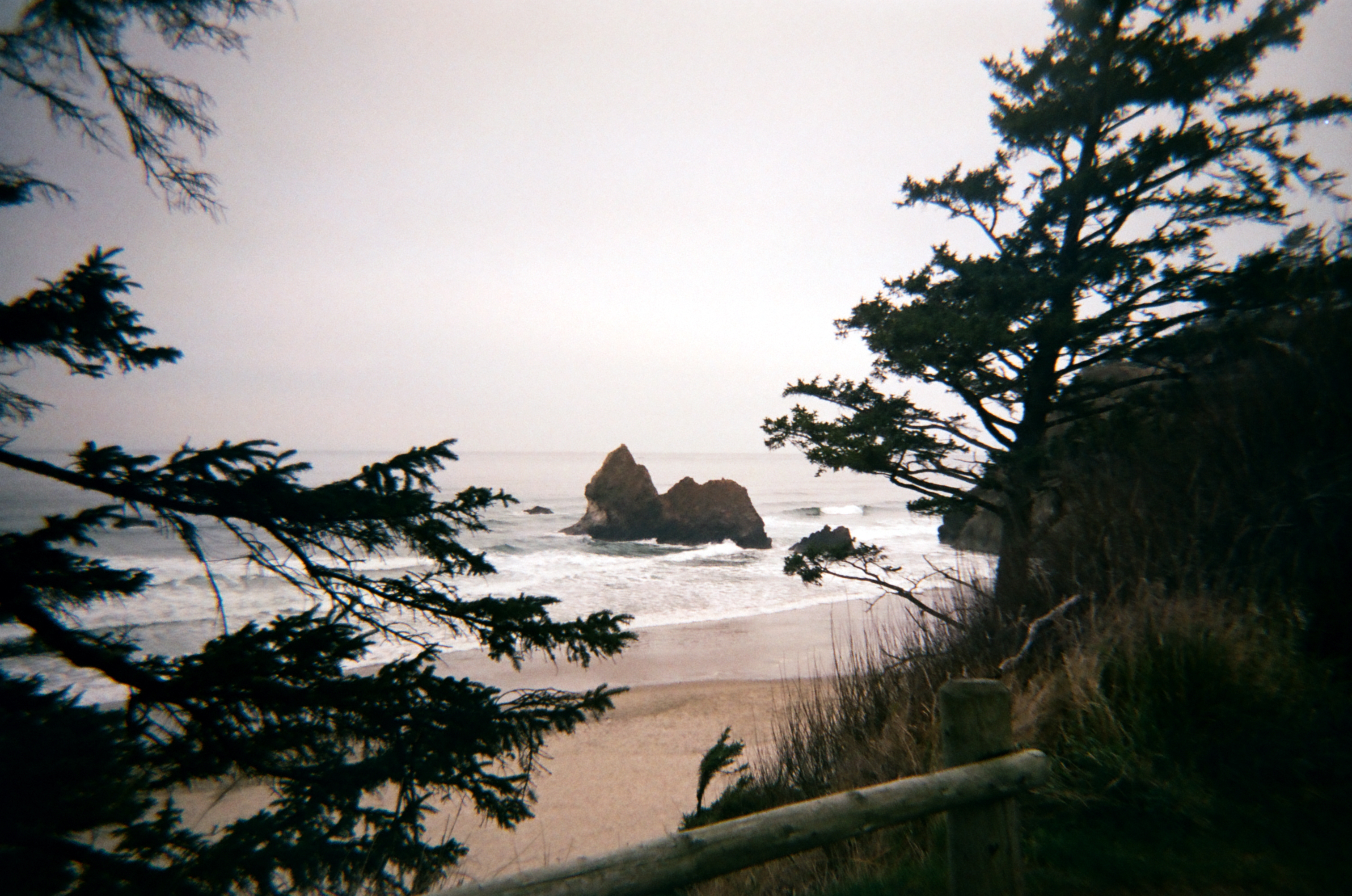 Photo of rocks at Arcadia Beach, Oregon from above and through trees.