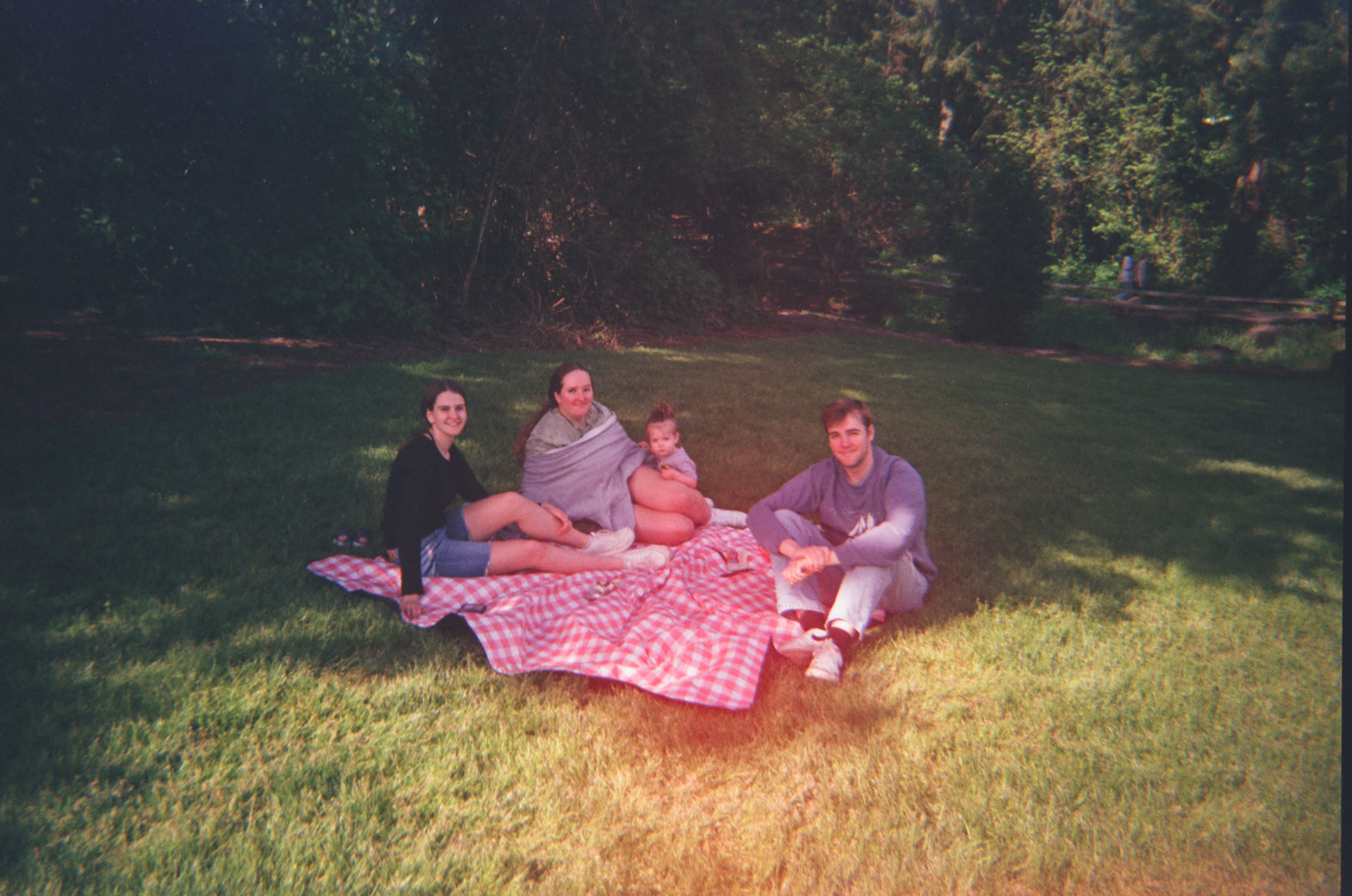Three young adults and a toddler sitting on a red checkered blanket.