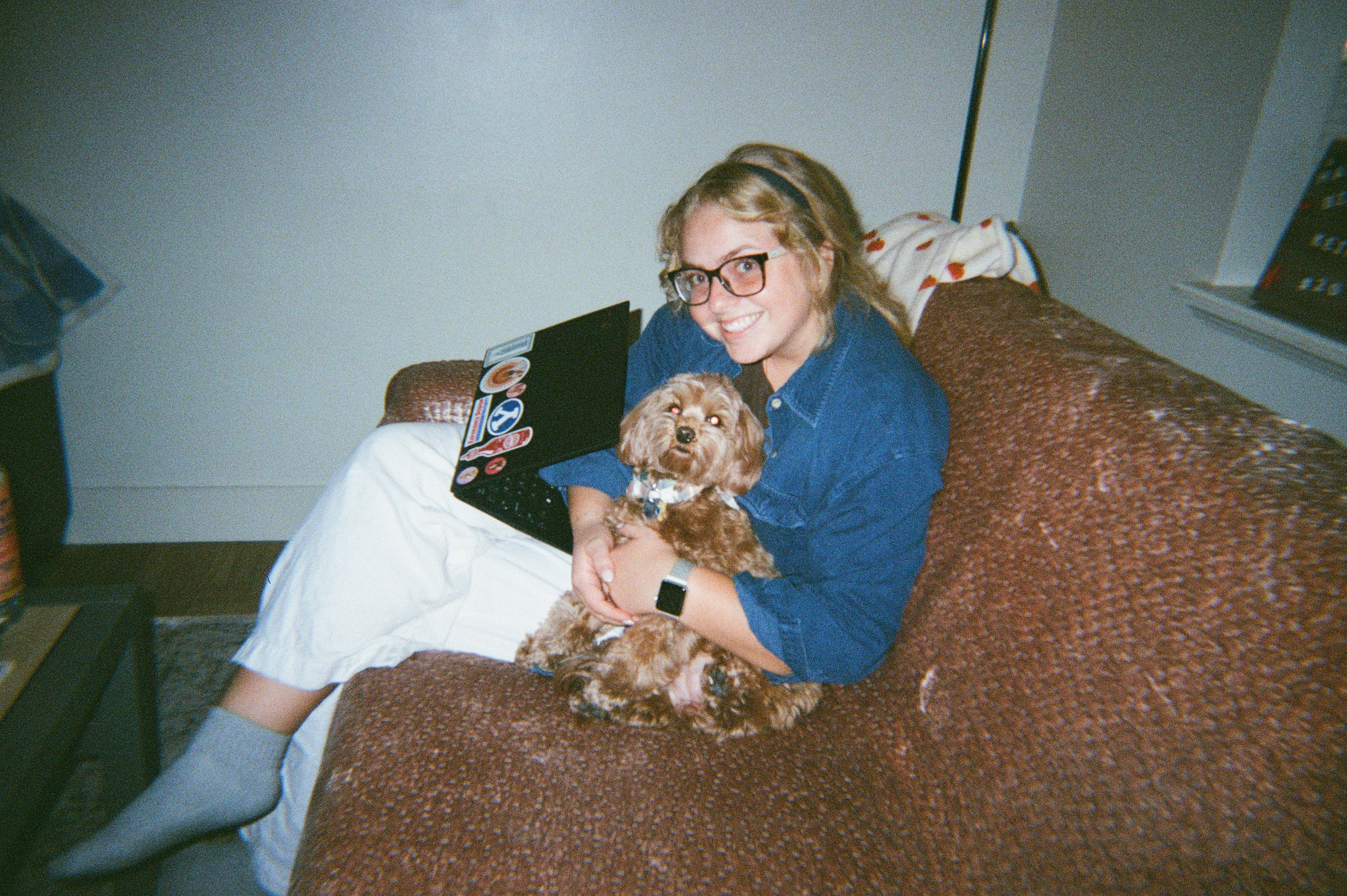 Watercolor palettes, paintbrushes, and paintings of butterflies.