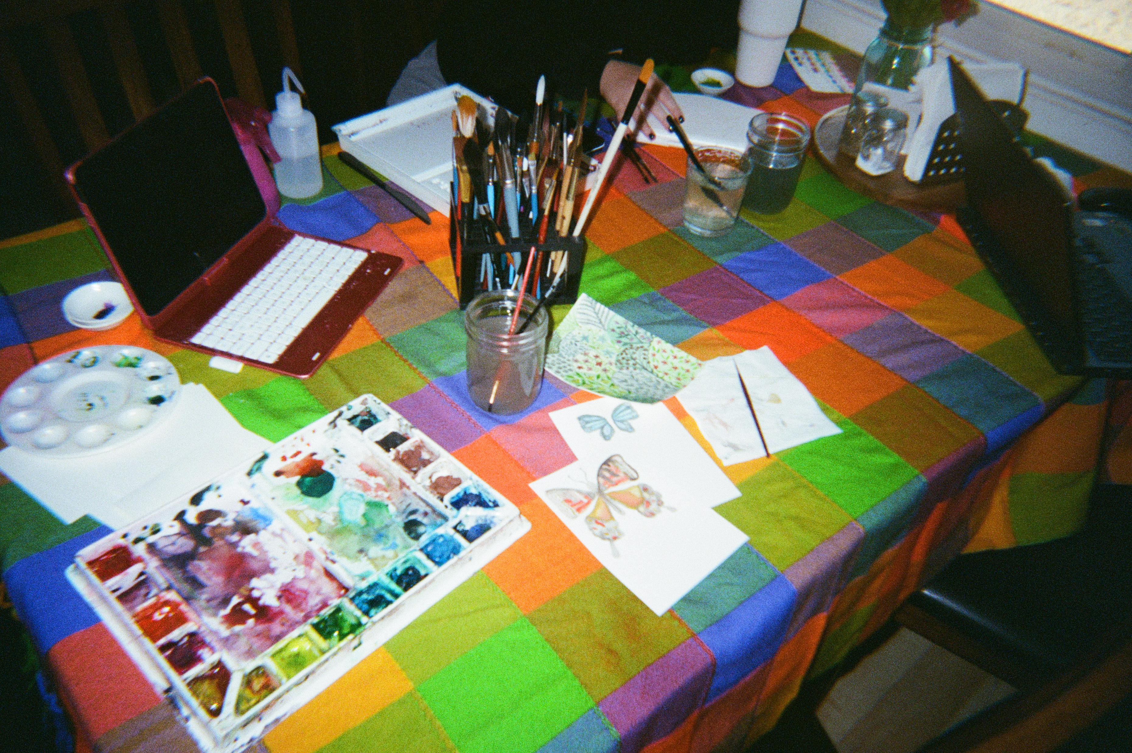 Watercolor palettes, paintbrushes, and paintings of butterflies.