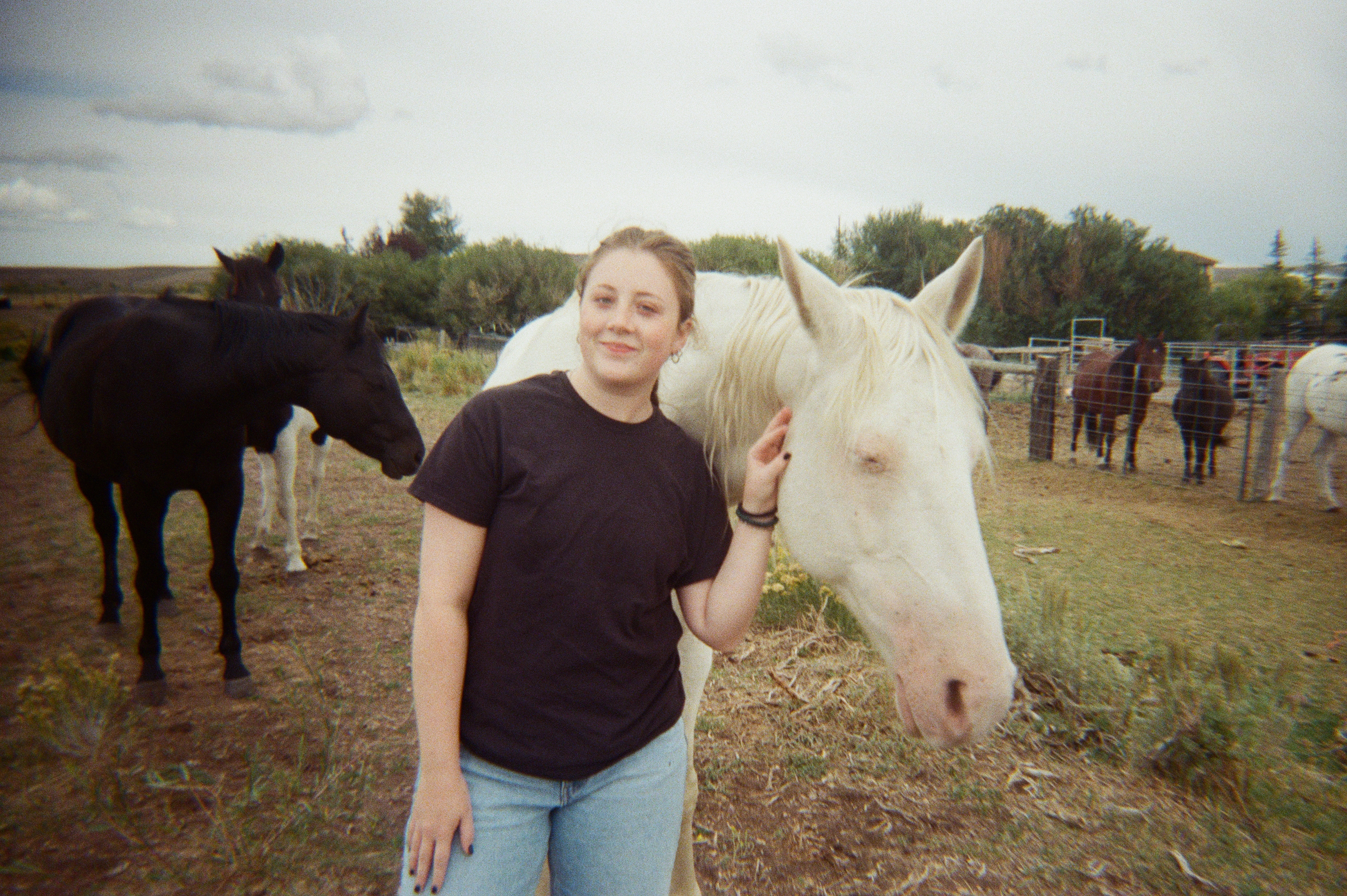 Young woman smiling while petting a white horse, two other horses behind them.