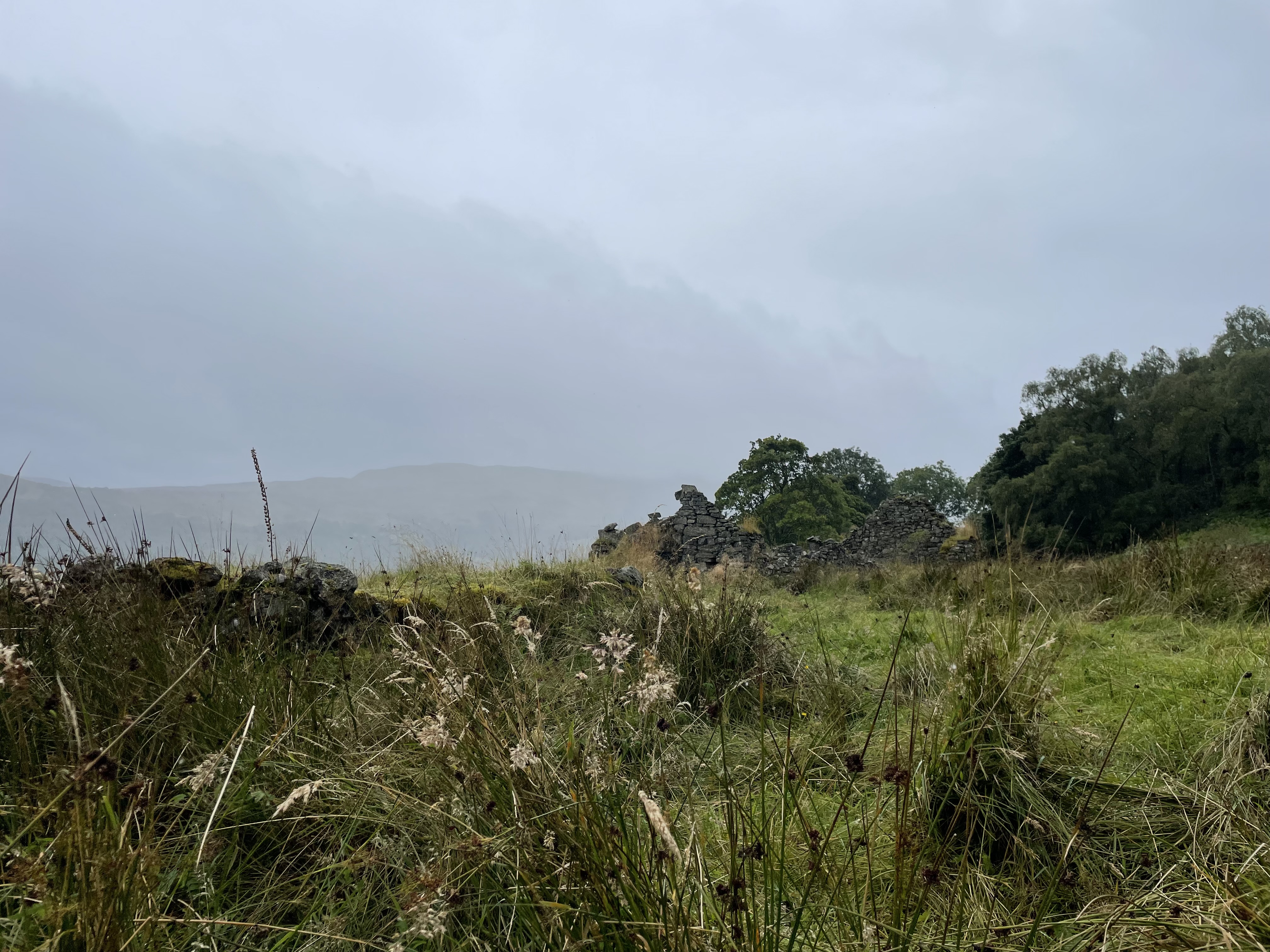 the nearly-collapsed ruins of a house below a stormy sky, set amidst tall green and white-yellow grasses