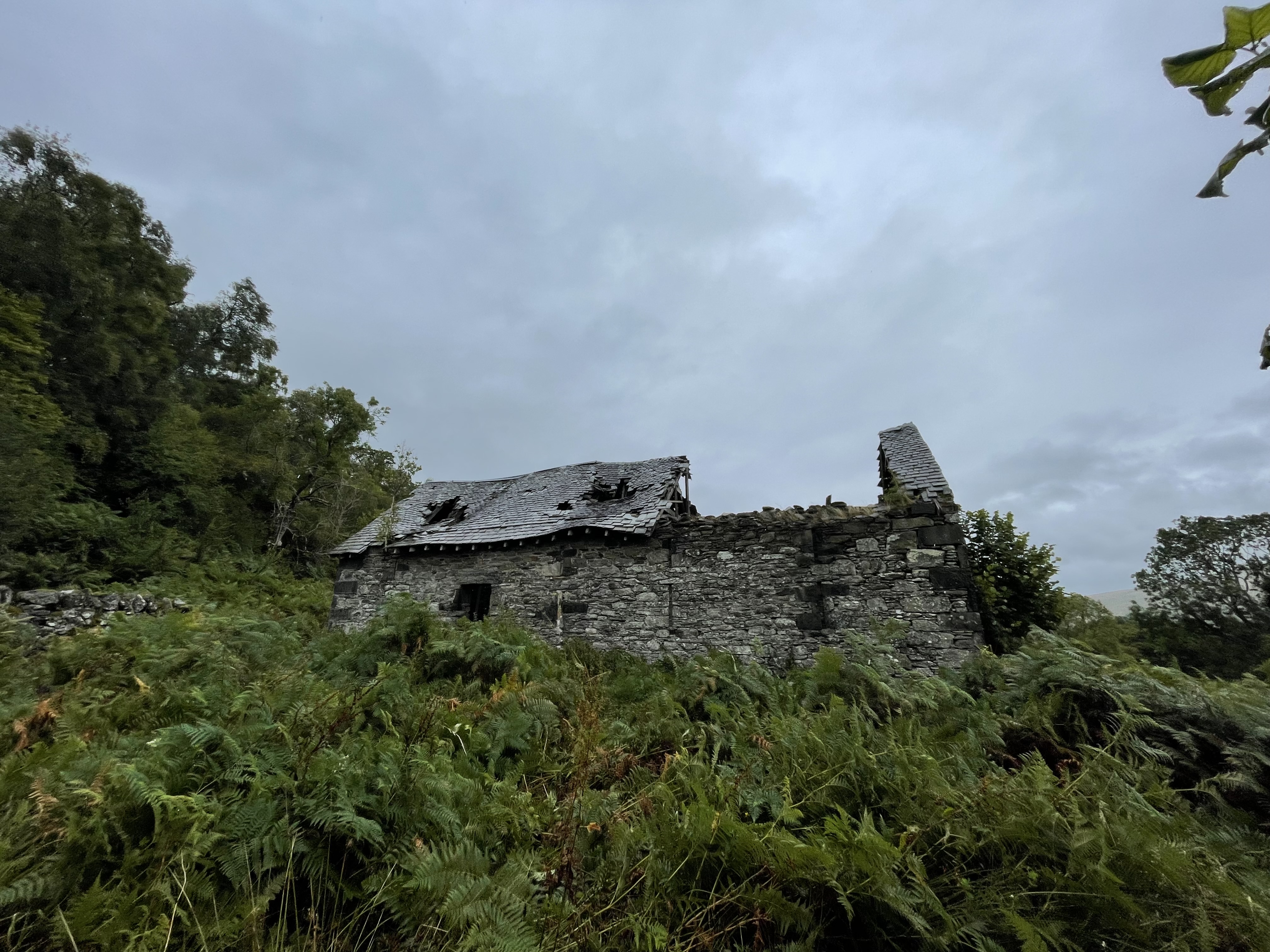 a collapsing stone house amongst deep green bushes and trees.